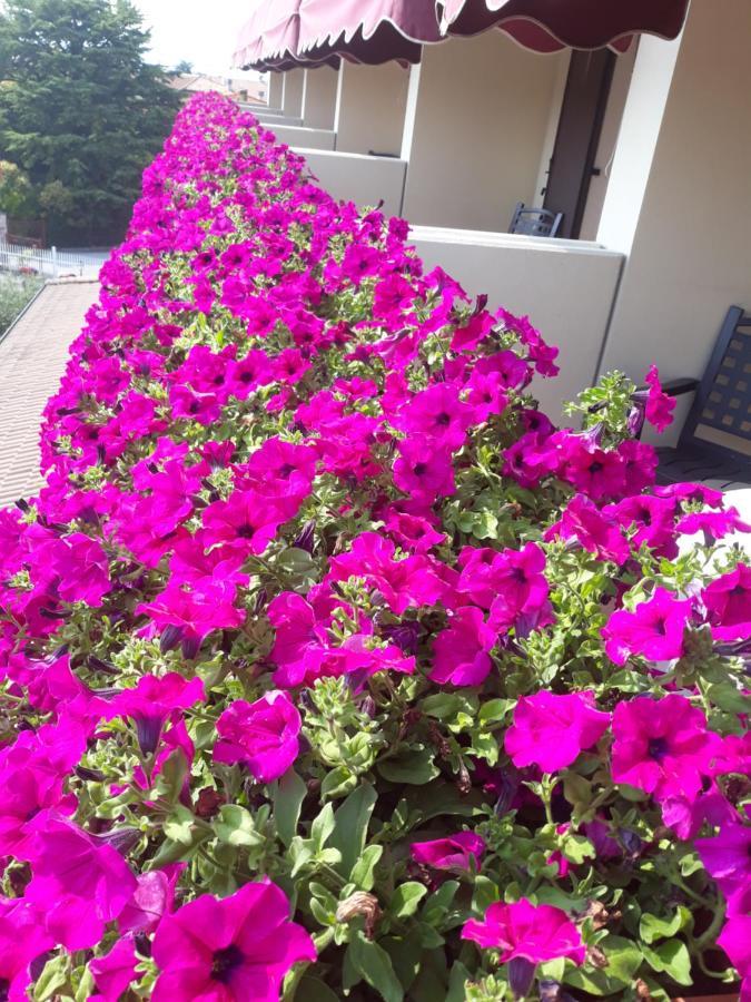 Hotel Da Roberto ลาซีเซ ภายนอก รูปภาพ